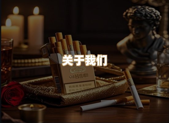 关于蓝帝网